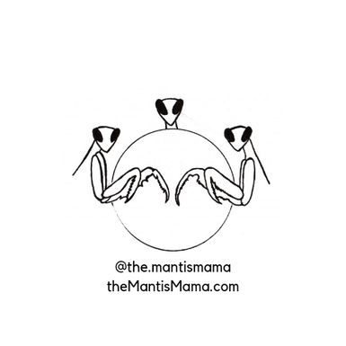 The Mantis Mama, learning from the Mantis beings: Teachings, Personal Experiences, Life Coaching